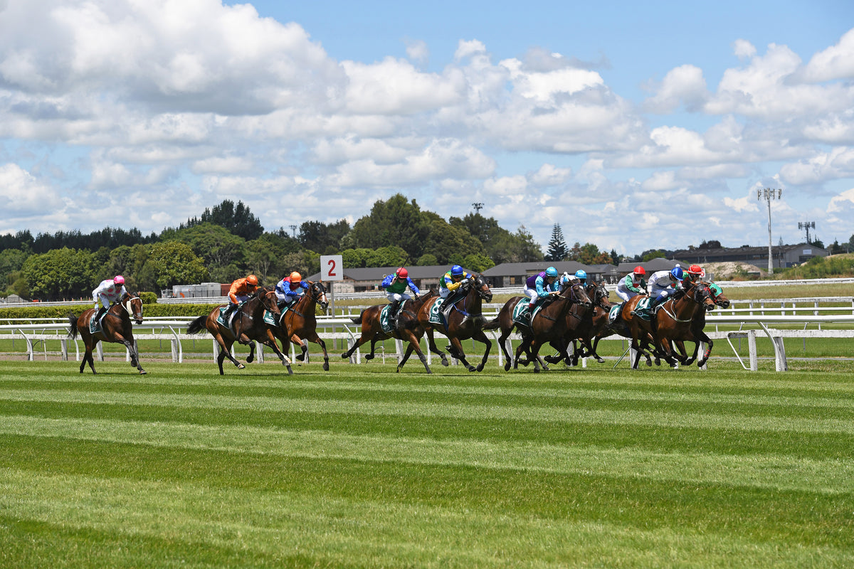Nw Te Rapa Waikato Venues - Corporate & Private Event Hire | Te Rapa Racecourse