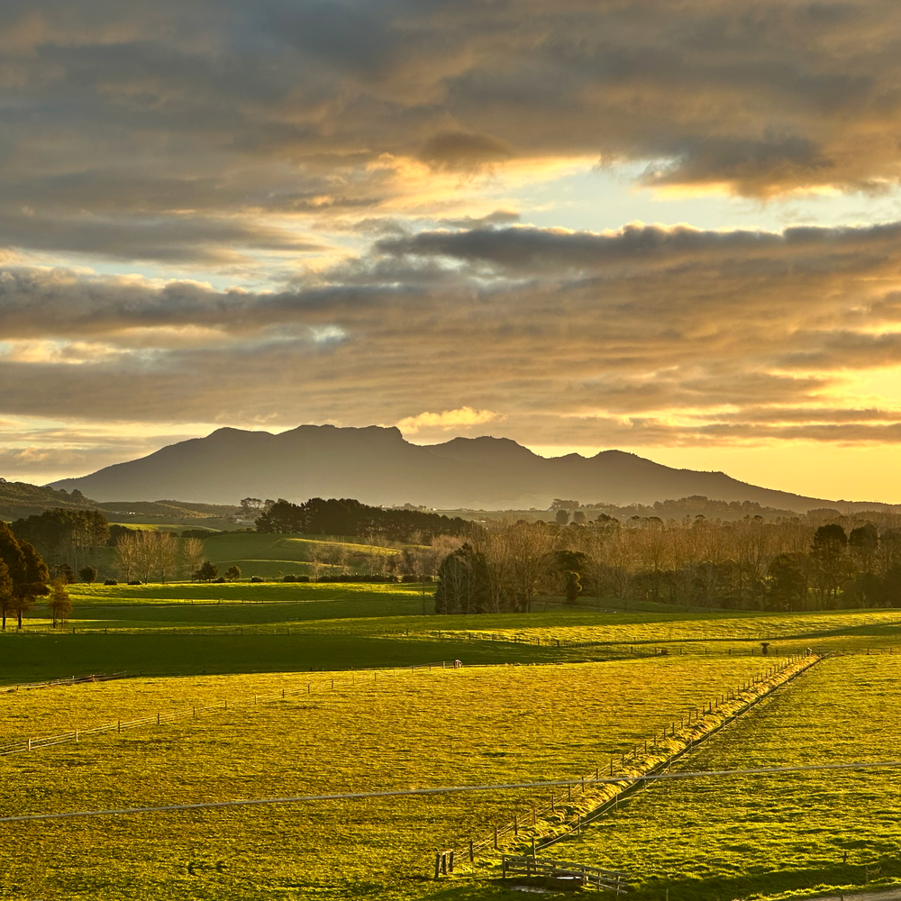 Waikato Venues