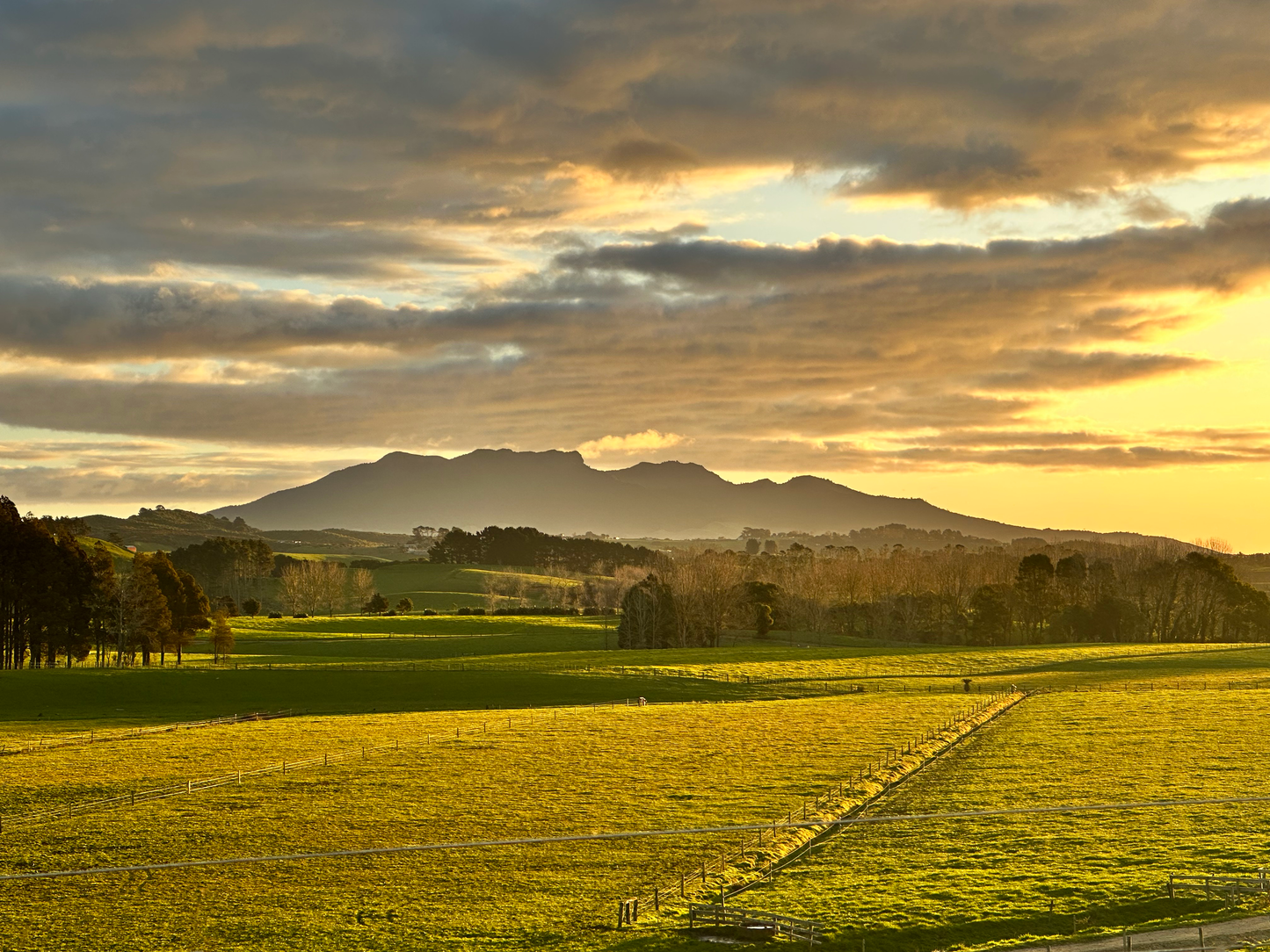 Waikato Venues